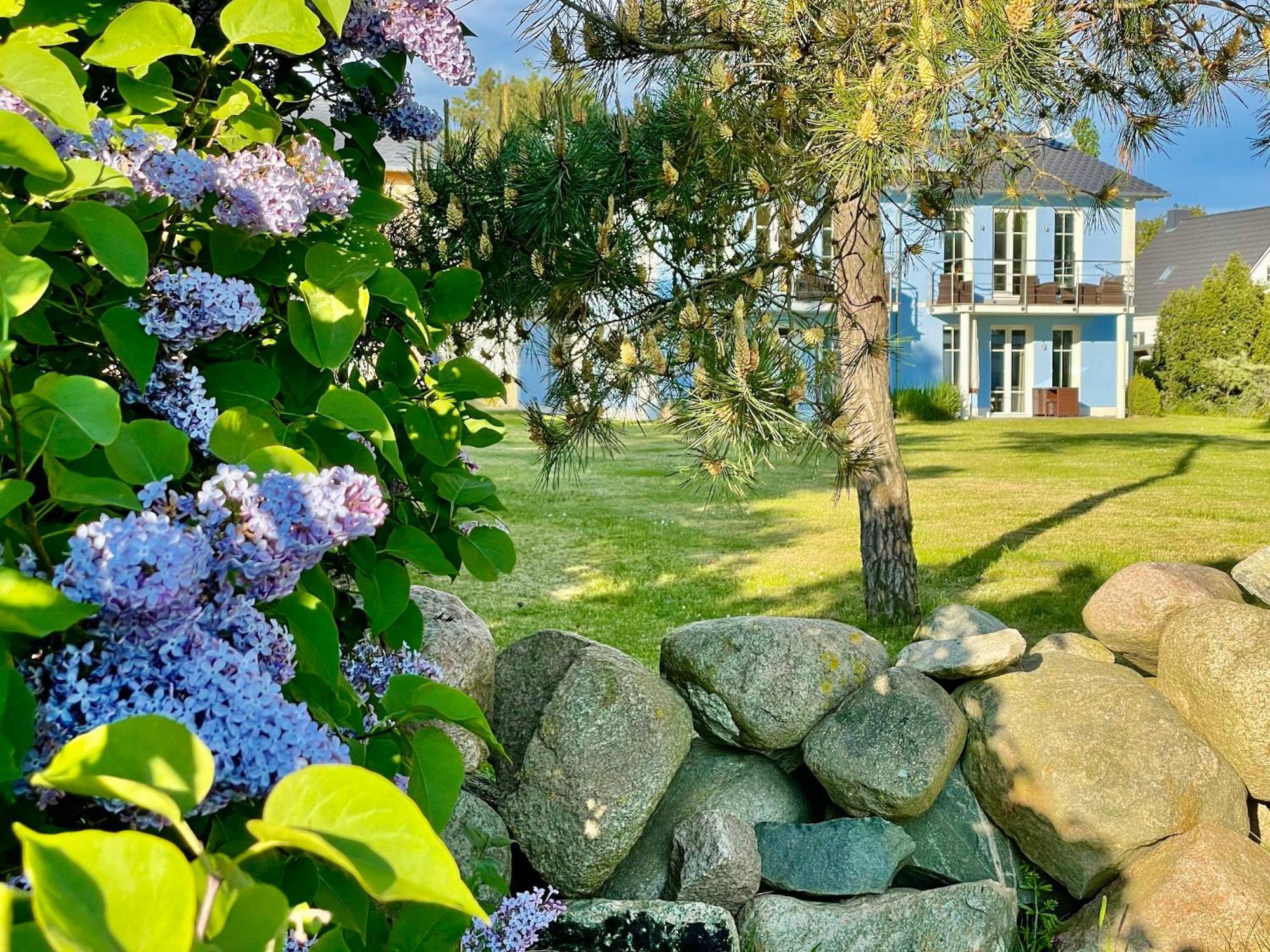 Villa "Windfluechter" ثيسو المظهر الخارجي الصورة